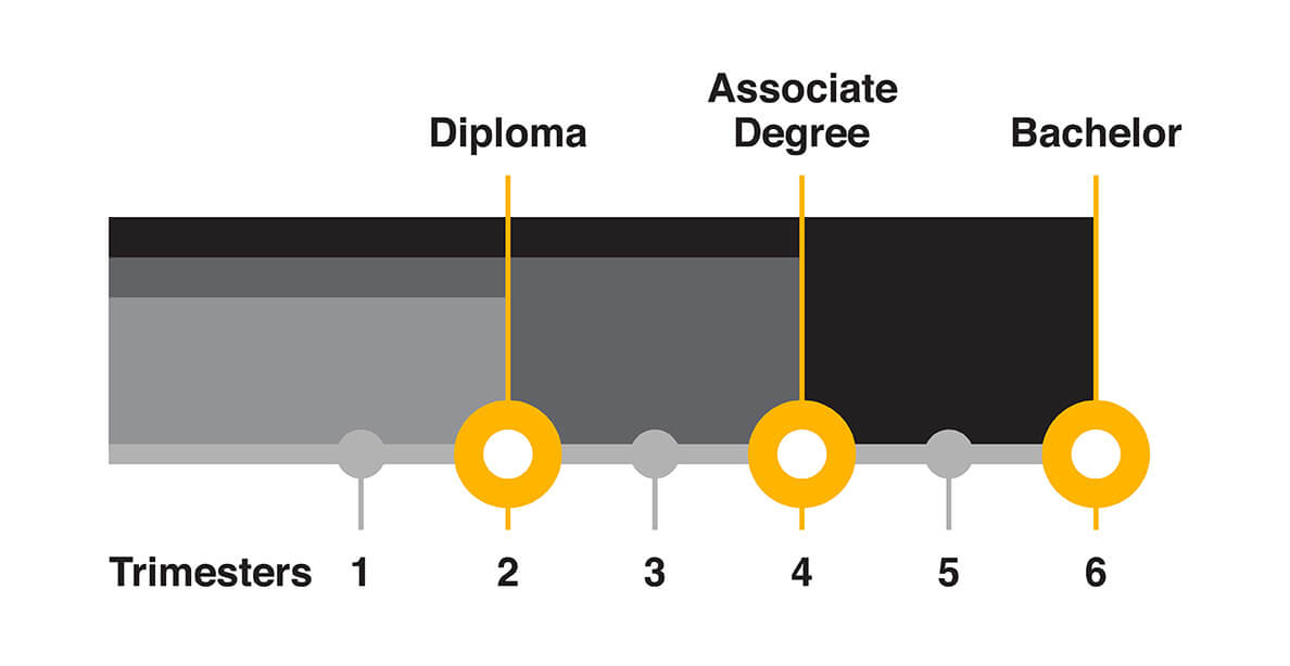 Yellow. Infographic explaining Trimesters 1-6 for the Diploma, Associate Degree and Bachelor Film courses at SAE.