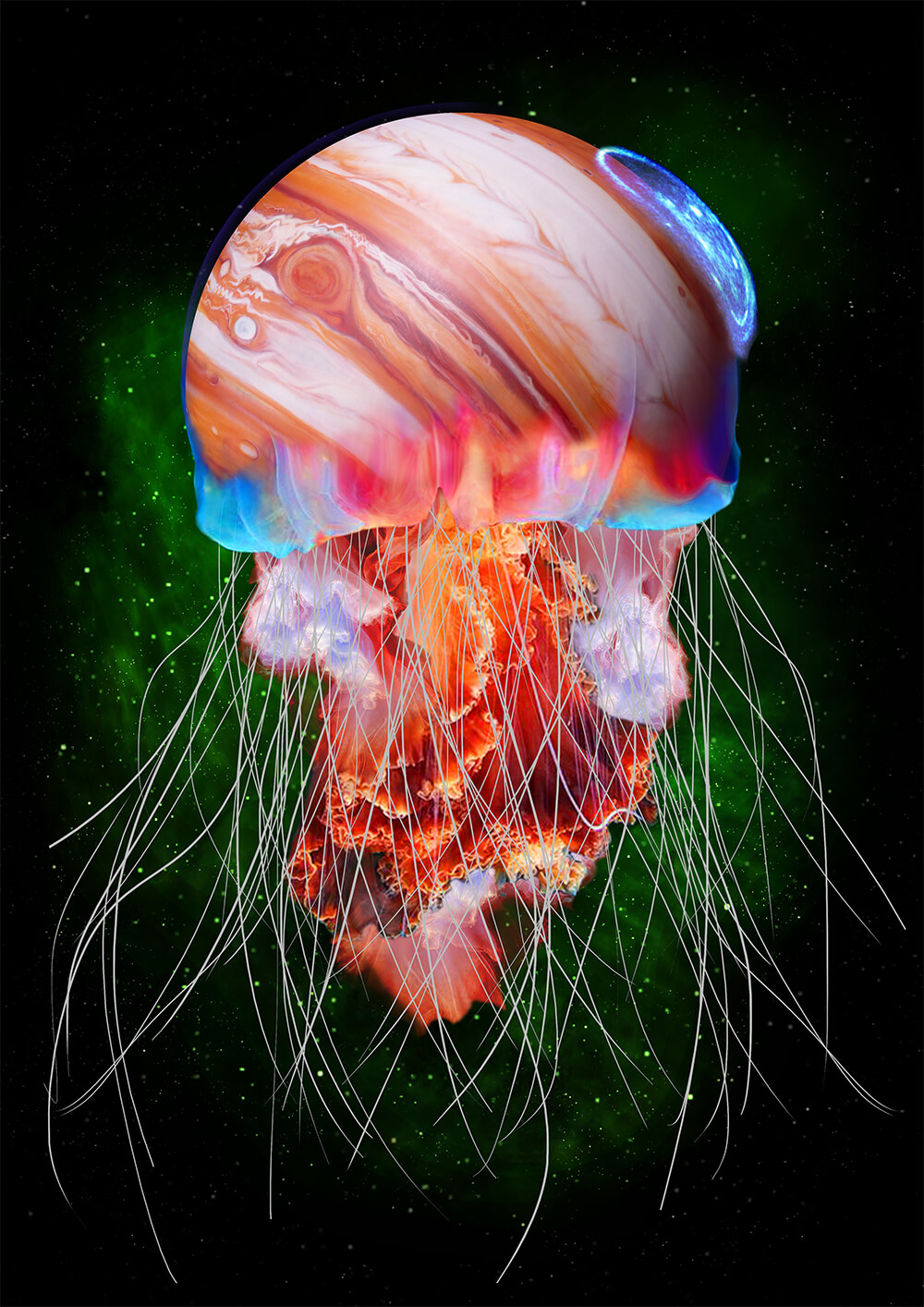 Jellyfish that looks like Jupiter planet