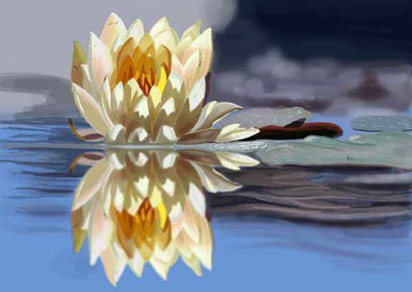 Design of water lilly
