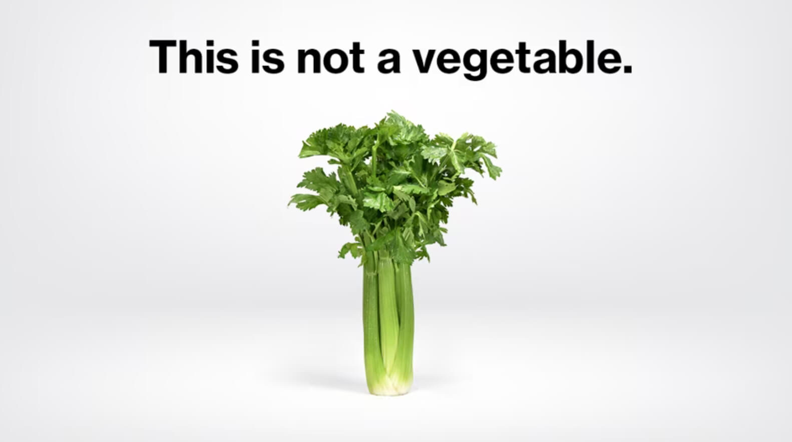 Celery. Text reads; This is not a vegetable