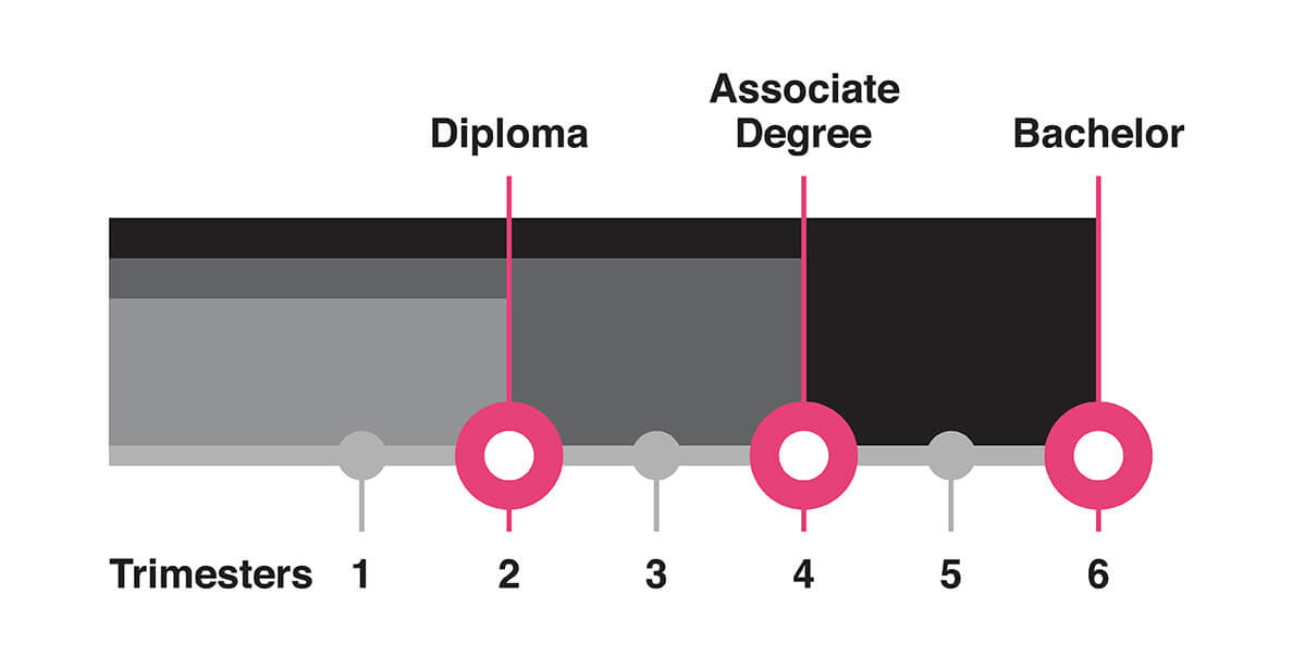 Pink. Infographic explaining Trimesters 1-6 for the Diploma, Associate Degree and Bachelor Design courses at SAE.