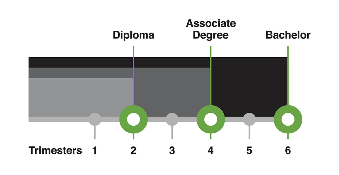 Gradient of colour technician qualification