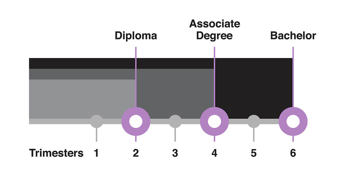 SAE Infographic of music production qualifications. text reads Trimesters 1,2,3,4,5,6. Text also reads Diploma, Associate Degree and Bachelor