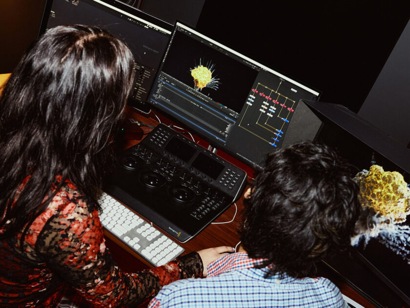 3D Animator or VFX Artist