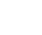 Alt.FX logo - white on black