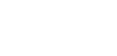 Bluey logo - white on black