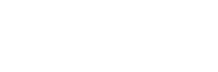 Matplotlib logo - white