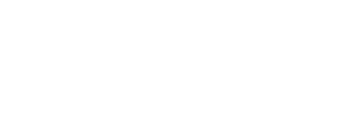 Python logo - white