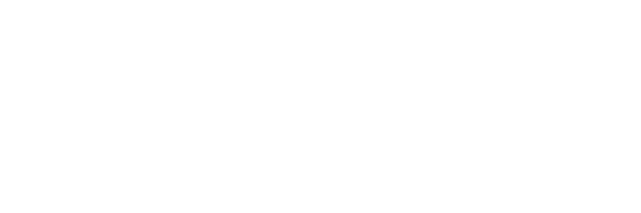 TensorFlow logo - white